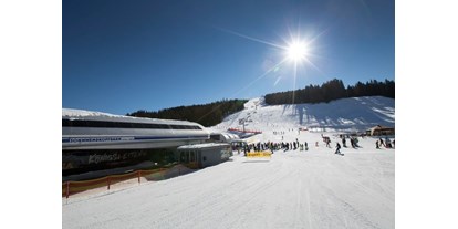 Hüttendorf - Balkon - Pinzgau - Unser Skigebiet die Zillertalarena 
166 Schneesichere Pistenkilometer purer Spass  - Sam-Alm 