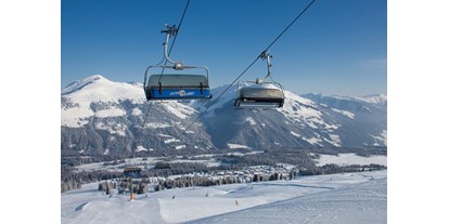 Hüttendorf - Umgebungsschwerpunkt: Berg - Viehhofen - Unser Skigebiet die Zillertalarena 
166 Schneesichere Pistenkilometer purer Spass  - Sam-Alm 