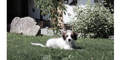 Hüttendorf - Doppelbett - Haidmühle - INNs HOLZ hundefreundliches Chaletdorf Urlaub mit Hund im Sommer - INNs HOLZ Chaletdorf