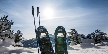 Hüttendorf - Schwerpunkt: Winterurlaub - Schneeschuhwanderungen können vom Chalet aus gemacht werden - Luxuschalet Bischofer-Bergwelt