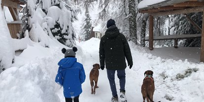 Hüttendorf - Schwerpunkt: Urlaub mit Hund - Designchalets Heidialm-Falkertsee