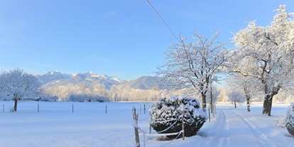 Hüttendorf - WLAN - Inzell (Landkreis Traunstein) - Ein wunderbarer Bergblick - auch im Winter - Niederauer Hof Chalets