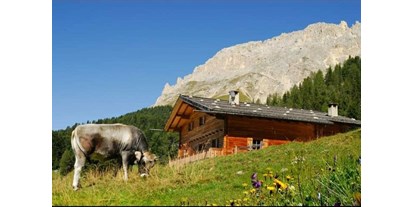 Hüttendorf - Trentino-Südtirol - Thaleralm