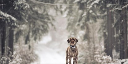 Hüttendorf - Sonnenterrasse - Gasthund Alfredo im winterlichen Fichtelgebirge - Das MUSSEA Landhaus Chalet & Scheunenloft