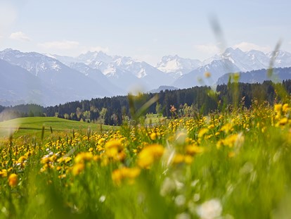 Hüttendorf - Umgebungsschwerpunkt: Berg - Ofterschwanger Bergpanorama - Chalet F
