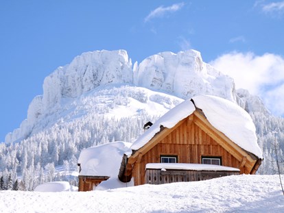 Hüttendorf - Umgebungsschwerpunkt: Berg - AlpenParks Hagan Lodge Altaussee