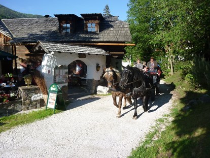Hüttendorf - Küche - Katschberghöhe - Pferdekutschen-Erlebnisfahrten - Trattlers Hof-Chalets
