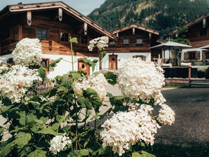 Hüttendorf - Typ: Lodge - Deutschland - Chaletdorf Sommer - Alpzitt Chalets