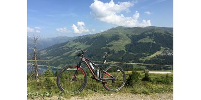 Hüttendorf - Umgebungsschwerpunkt: Berg - Tiroler Unterland - Sommer in Hochkrimml  - Sam-Alm 