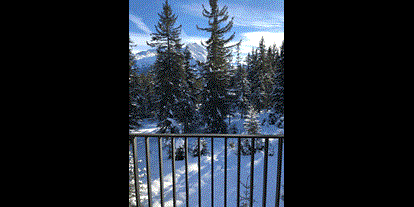Hüttendorf - Typ: Skihütte - Blick von Wohnung Top 1/2/3 nach Süden zu den Hohentauern mit Österreichs 2 höchsten Berg dem Groß Venediger - Sam-Alm 