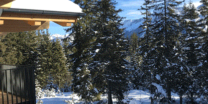 Hüttendorf - Typ: Skihütte - Blick von Wohnung Top 1/2/3 nach Süden zu den Hohentauern mit Österreichs 2 höchsten Berg dem Groß Venedige - Sam-Alm 