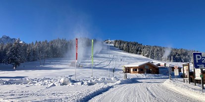Hüttendorf - Schwerpunkt: Skiurlaub - Einstieg in die Zillertalarena (Filzsteinlifte) Gerlosplatte 350m von der Sam-Alm entfernt. - Sam-Alm 