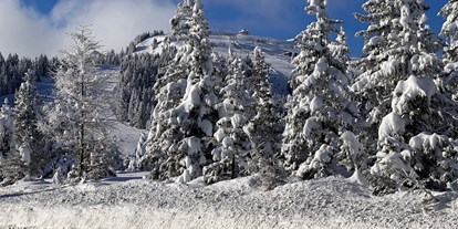 Hüttendorf - Skitouren - Österreich - Sam-Alm 