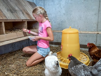 Hüttendorf - Schwerpunkt: Familienurlaub - Jeden Tag frische Eier unserer Hühner - Dilia Dolomites