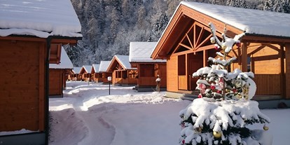 Hüttendorf - Einzelbett - Pinzgau - Winter - Feriendorf Oberreit