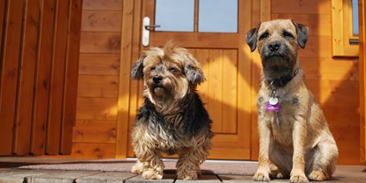 Hüttendorf - Schwerpunkt: Urlaub mit Hund - auf der verschliessbaren Veranda - Feriendorf Oberreit