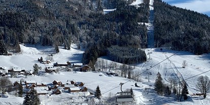 Hüttendorf - Balkon - Steiermark - Ferienresort Altaussee-Loser