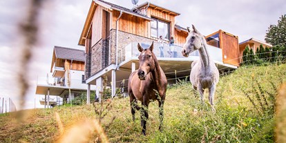 Hüttendorf - Balkon - Steiermark - Urlaub mit dem eigenen Pferd - Golden Hill Country Chalets & Suites