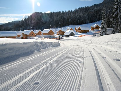 Hüttendorf - Skilift - Österreich - AlpenParks Hagan Lodge Altaussee