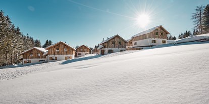 Hüttendorf - Schwerpunkt: Skiurlaub - Salzburg - Almdorf Omlach, Fanningberg