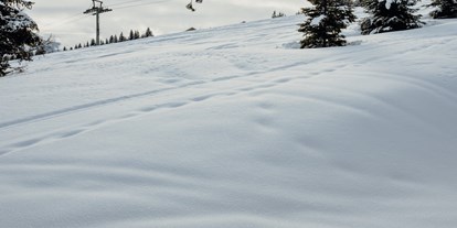 Hüttendorf - Ski-In/Ski-Out: Ski-In & Ski-Out - Österreich - direkt an der Skipiste - Almdorf Omlach, Fanningberg