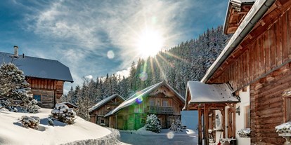 Hüttendorf - Schwerpunkt: Skiurlaub - Almwelt Austria
