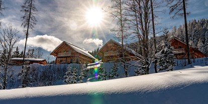 Hüttendorf - Ski-In/Ski-Out: Ski-In & Ski-Out - Almwelt Austria