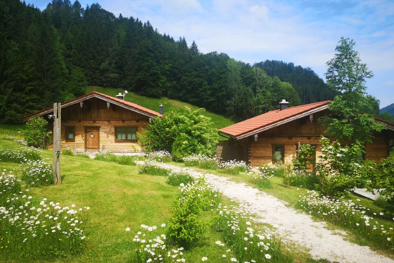 Au&szlig;enaufnahme Chalets mit Blumenwiese
