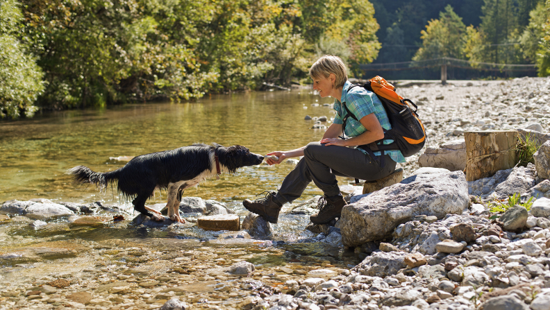 Aktivurlaub mit Hund
