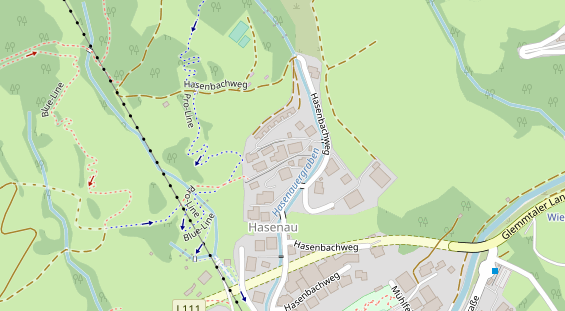 Chaletdorf auf Satellitenbild