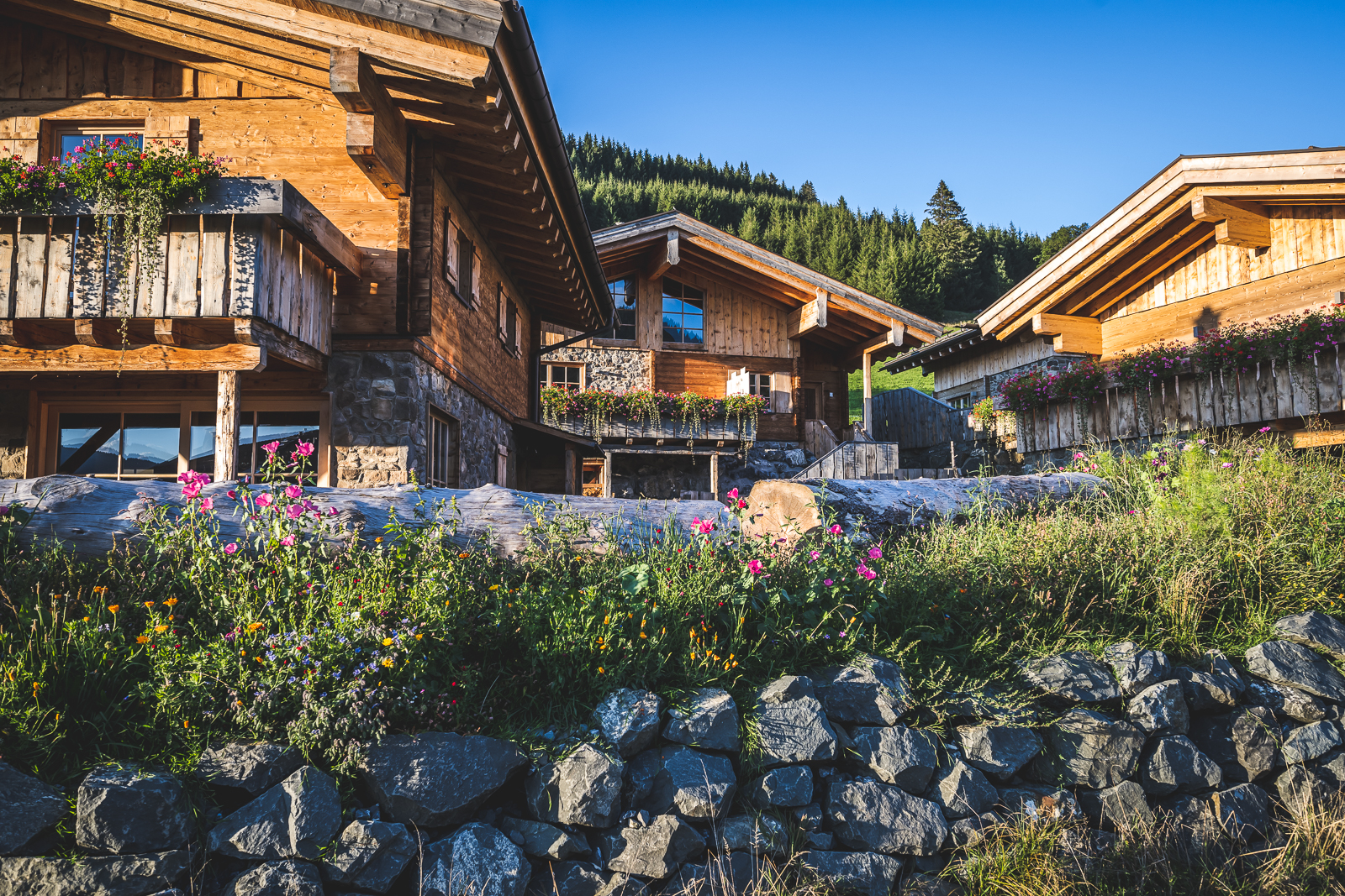 Chalet - Alpenchalet Jungholz