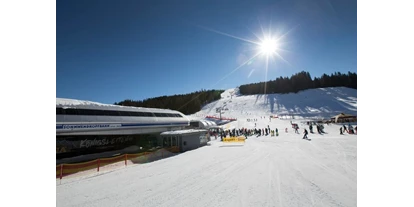 Hüttendorf - Wellnessbereich: in Chalets - Innerschmirn - Unser Skigebiet die Zillertalarena 
166 Schneesichere Pistenkilometer purer Spass  - Sam-Alm 