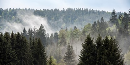 Hüttendorf - Seminarraum - Kirchberg im Wald - FORSTGUT