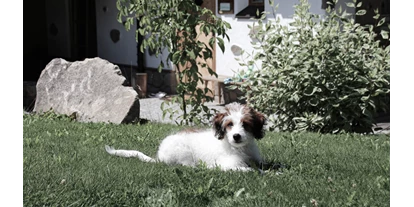 Hüttendorf - tägliche Reinigung - Poing (Kallham) - INNs HOLZ hundefreundliches Chaletdorf Urlaub mit Hund im Sommer - INNs HOLZ Chaletdorf