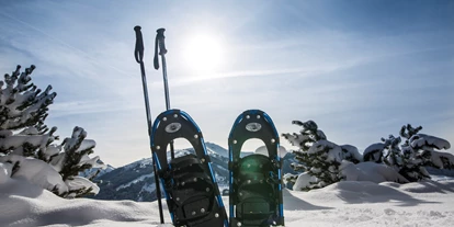 Hüttendorf - Schwerpunkt: Skiurlaub - Thaur - Schneeschuhwanderungen können vom Chalet aus gemacht werden - Luxuschalet Bischofer-Bergwelt