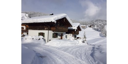Hüttendorf - Mikrowelle - Skiregion Hochkönig - Winter - Feriendorf Stallergut