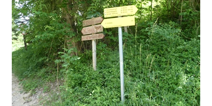 Hüttendorf - Schwerpunkt: Wanderurlaub - Grünau im Almtal - Romantische Ferienhütte