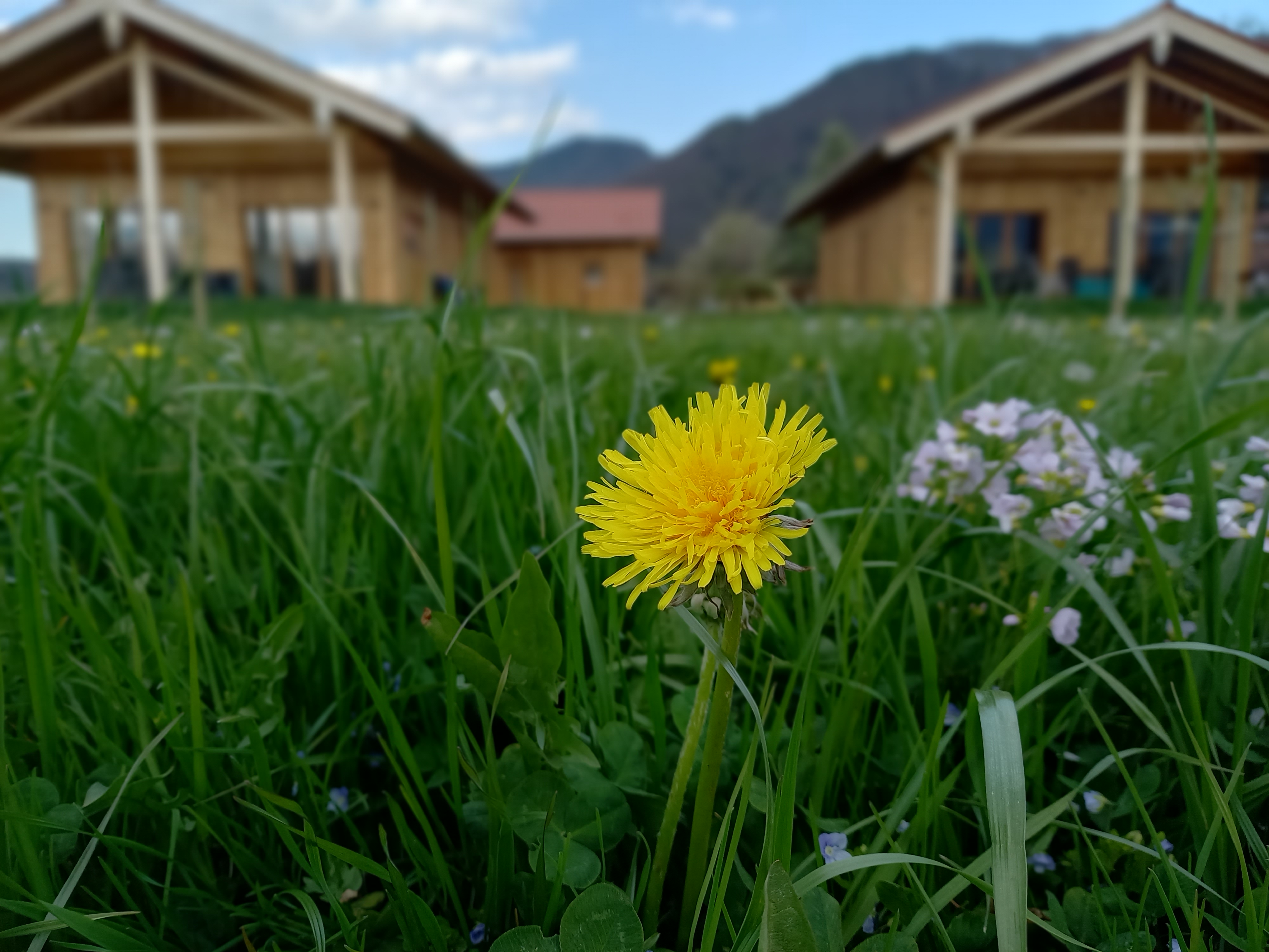 Chalet - Niederauer Hof Chalets