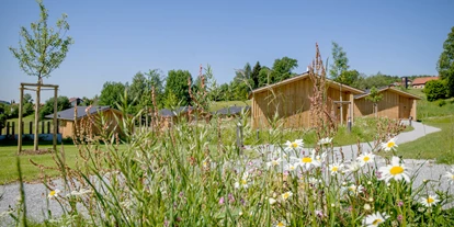 Hüttendorf - Umgebungsschwerpunkt: am Land - Gotteszell - Sommer in Neuschönau - Luxus-Chalets "Woidhaisl" Euler Neuschönau