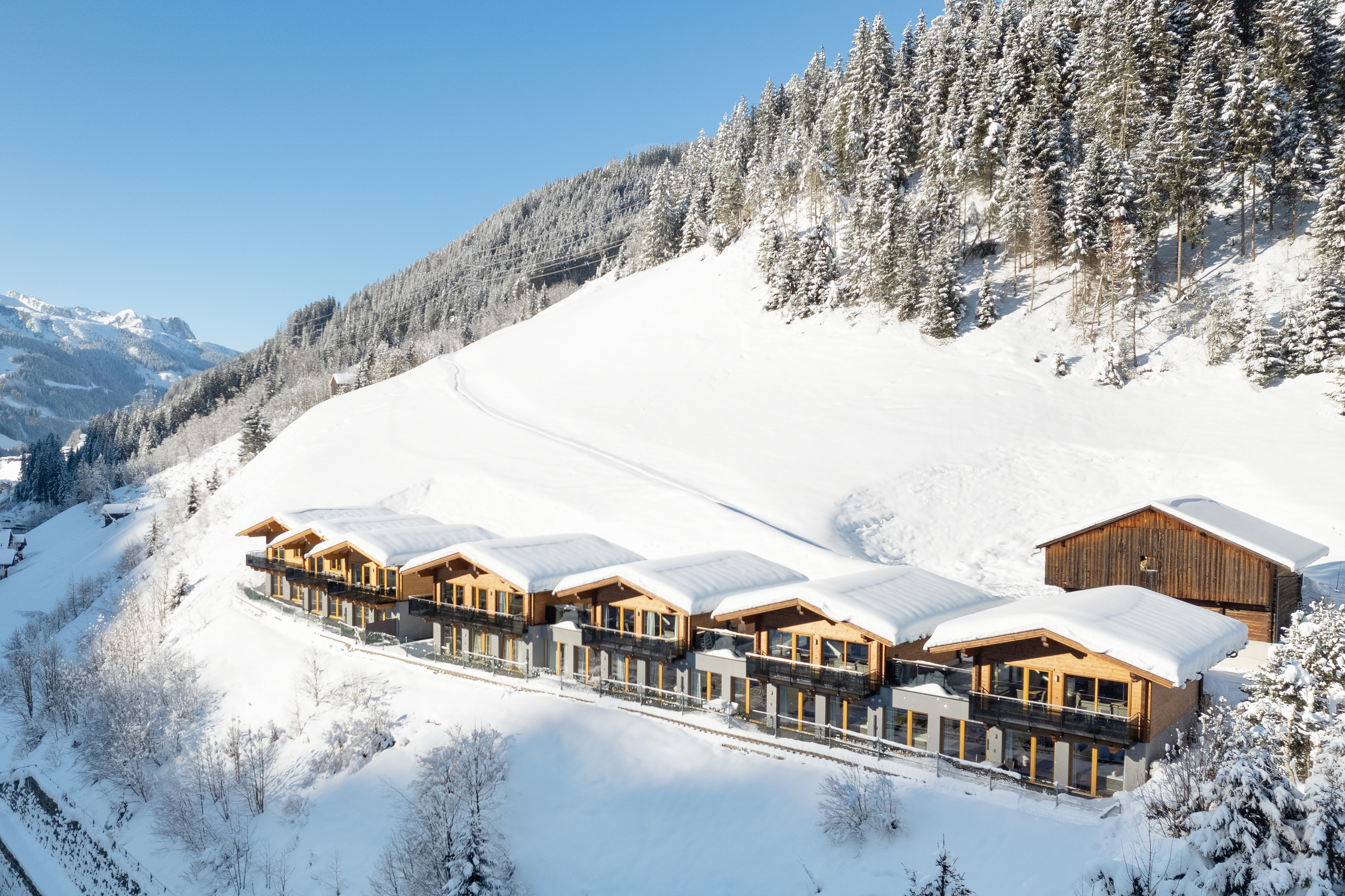 Chalet - Chalet Alpenhof