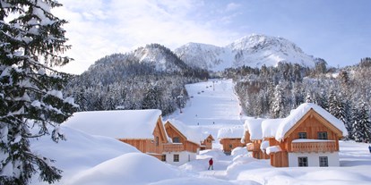 Hüttendorf - Mikrowelle - Hinterstoder - AlpenParks Hagan Lodge Altaussee