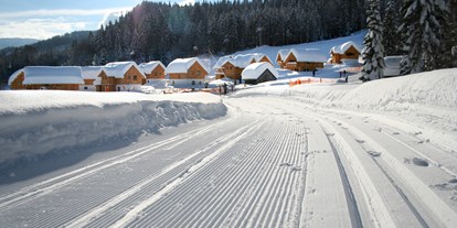 Hüttendorf - Autofrei - PLZ 8952 (Österreich) - AlpenParks Hagan Lodge Altaussee