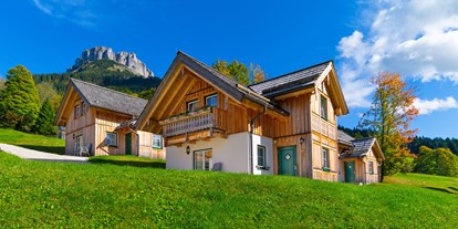Hüttendorf - Mikrowelle - Hinterstoder - AlpenParks Hagan Lodge Altaussee