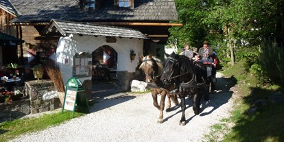 Hüttendorf - Kinderhochstuhl - PLZ 9862 (Österreich) - Pferdekutschen-Erlebnisfahrten - Trattlers Hof-Chalets