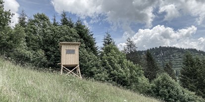 Hüttendorf - Spielplatz - PLZ 6791 (Österreich) - Der Aadla Hochstand steht dir zur Tier- und Naturbeobachtung zur Verfügung - Aadla Walser-Chalets am Arlberg