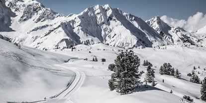 Hüttendorf - PLZ 7243 (Schweiz) - Das Winterparadies Warth-Schröcken genießen: ob auf der Piste, der Loipe oder beim Winterwandern - Aadla Walser-Chalets am Arlberg