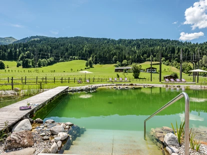 Hüttendorf - Pools: Schwimmteich - Pfaffenberg (Obervellach) - almlust