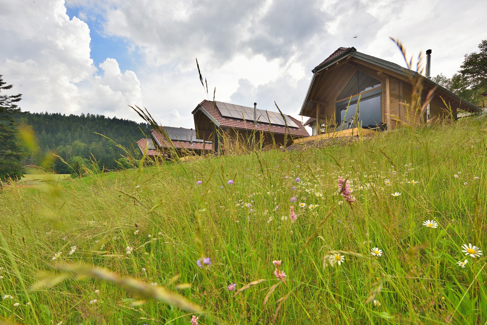 Hüttendorf: Außenbereich Chalets - Schwarzwalddorf - Chalets am Rößle