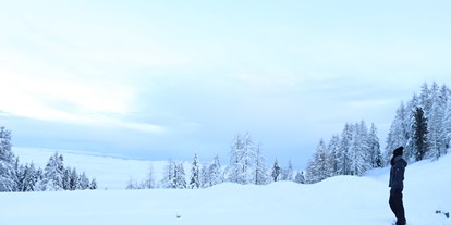 Hüttendorf - Skitouren - Toppelsdorf - Almzauber Chalets Hochrindl