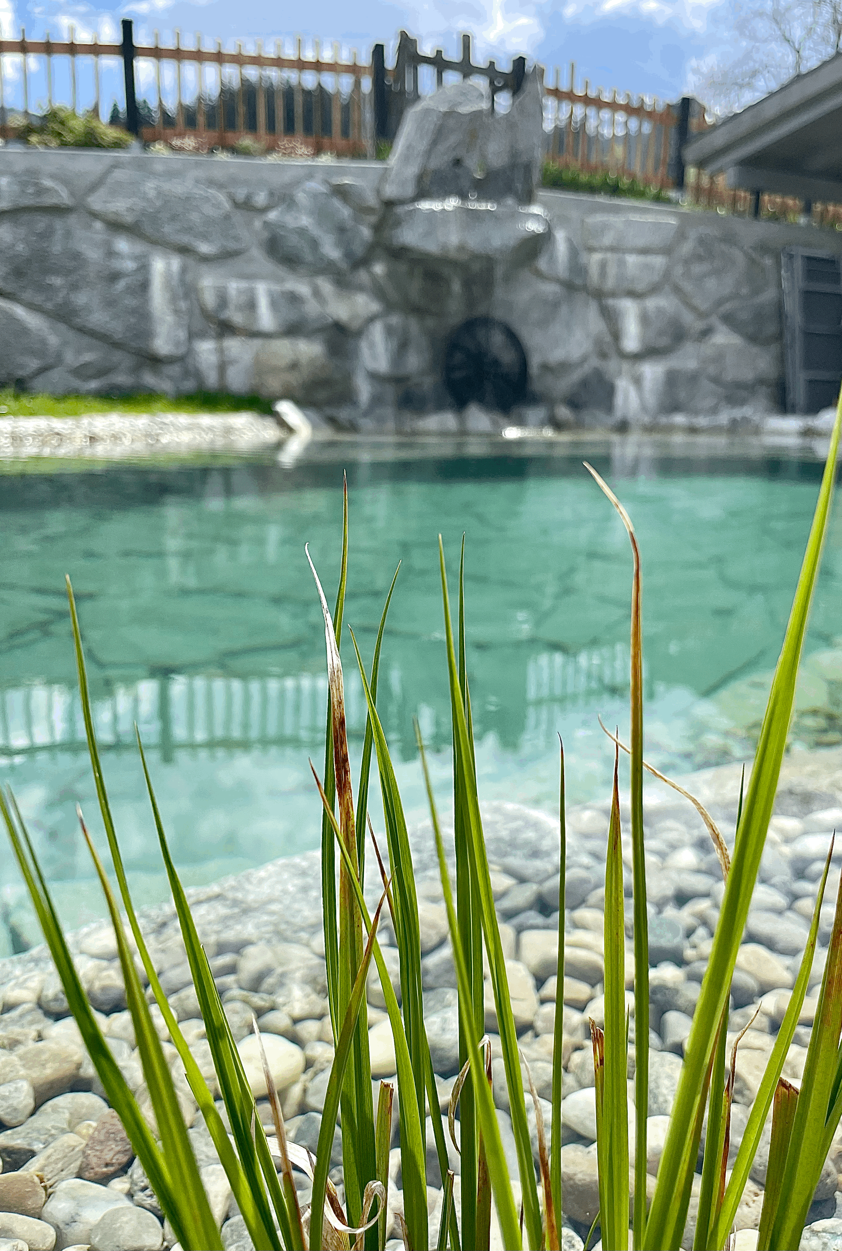 Chalet: Schwimmteich - Luxus Chalet - das brunn